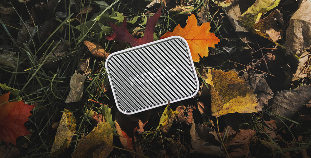 Fall in Love With Koss