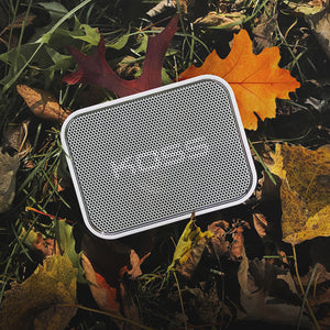 Fall in Love With Koss